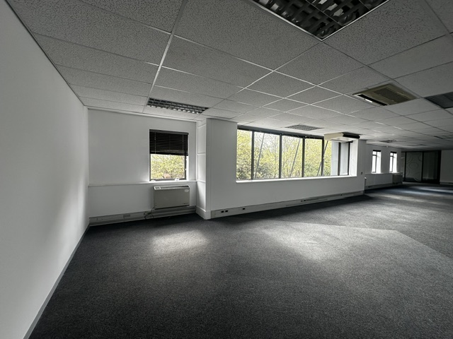 To Let Commercial Property for Rent in Newlands Western Cape